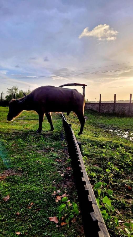 Pousada Marajoara- Hotel Fazenda-Turismo De Aventura Soure Kültér fotó