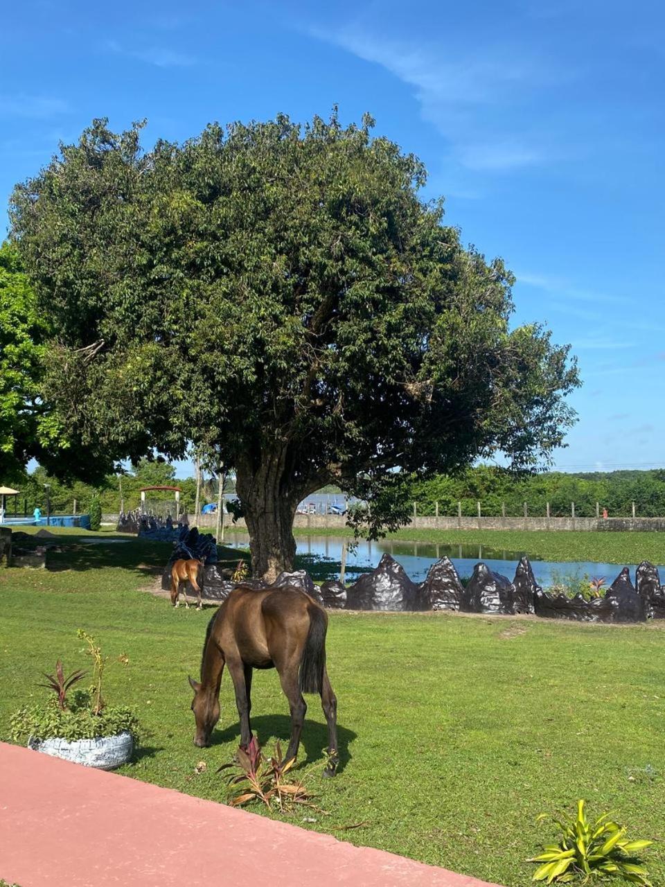 Pousada Marajoara- Hotel Fazenda-Turismo De Aventura Soure Kültér fotó