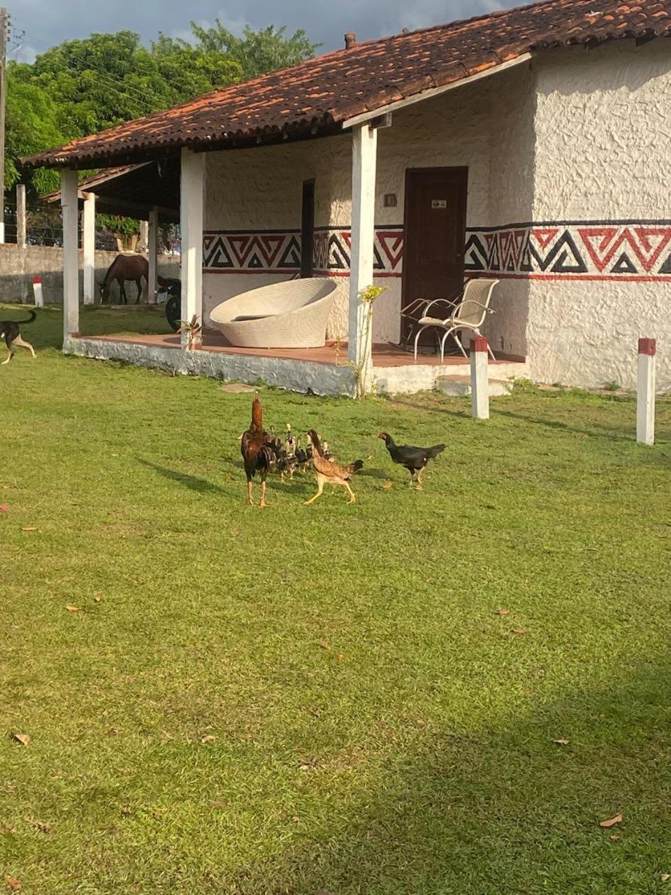 Pousada Marajoara- Hotel Fazenda-Turismo De Aventura Soure Kültér fotó